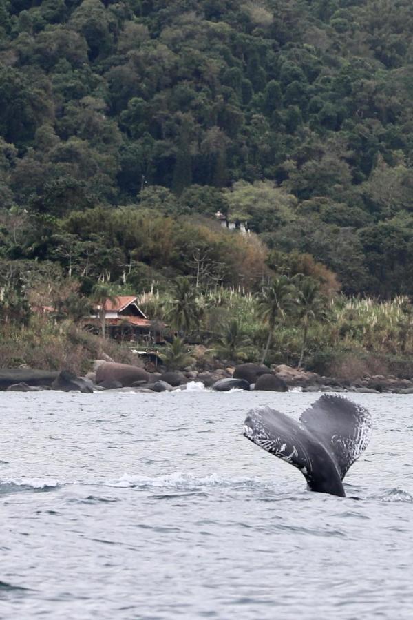 Vila Sol-Lua Bangalo Com Uso Exclusivo Da Piscina Ilhabela Exteriér fotografie